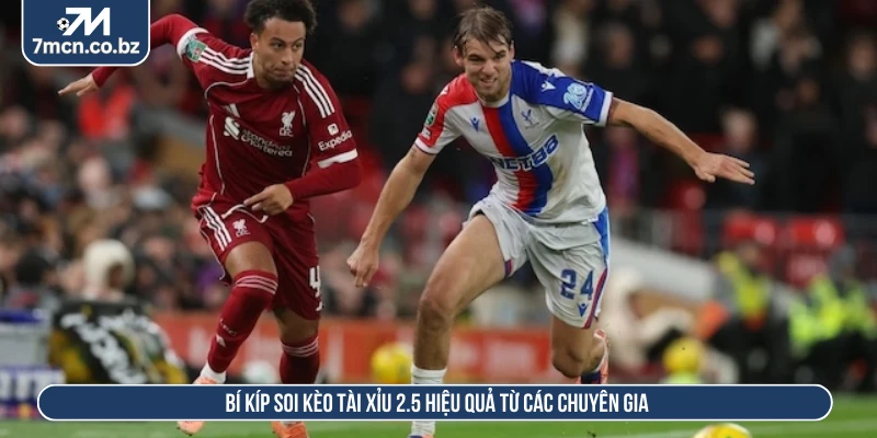 Bí kíp soi kèo tài xỉu 2.5 hiệu quả từ các chuyên gia