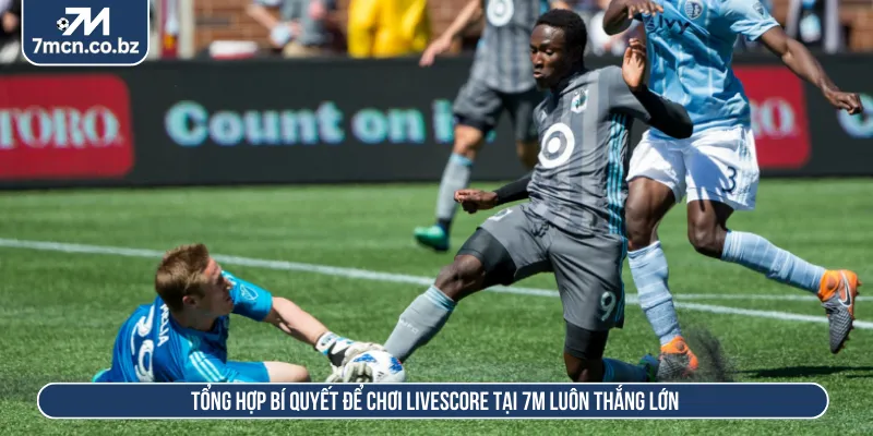 Tận dụng mẹo để bắt đầu cược Livescore tại nền tảng 7M